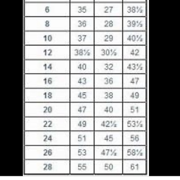 Beautiful by Enzoani Wedding Gown Size 24 NWOT - Picture 14 of 14